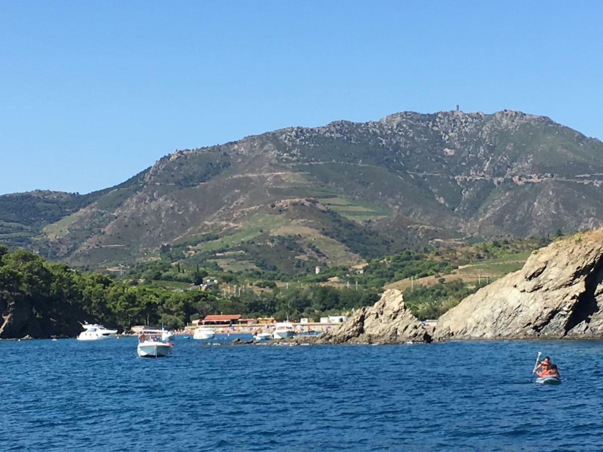 Studio Avec Parking Et Exterieur A 2 Min De La Plage Argelès-sur-Mer Dış mekan fotoğraf
